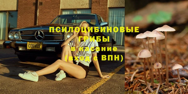 сатива Навашино