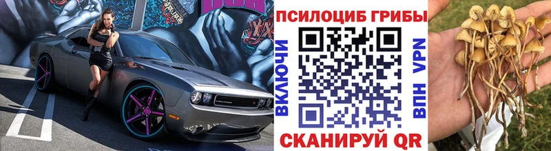 наркотики  Николаевск  блэк спрут ССЫЛКА  Псилоцибиновые грибы мицелий 
