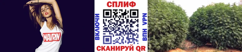Конопля гибрид наркотики Николаевск